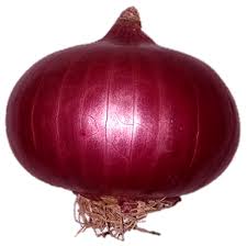 Onion