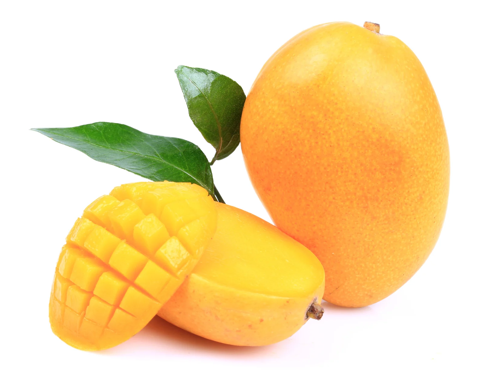https://aaryaimex.in/wp-content/uploads/2025/08/aarya_product_img.webp