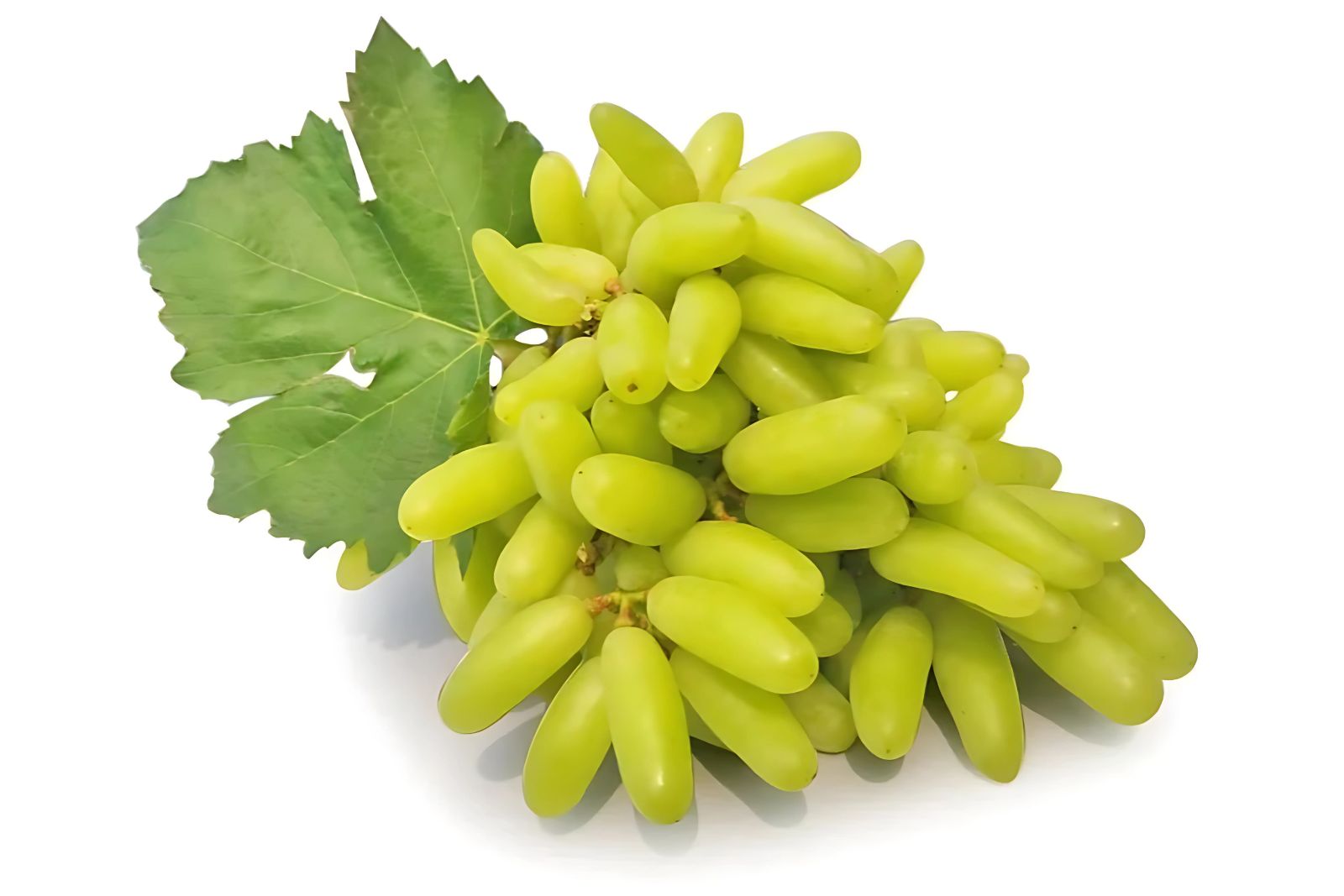 Sonaka Seedless