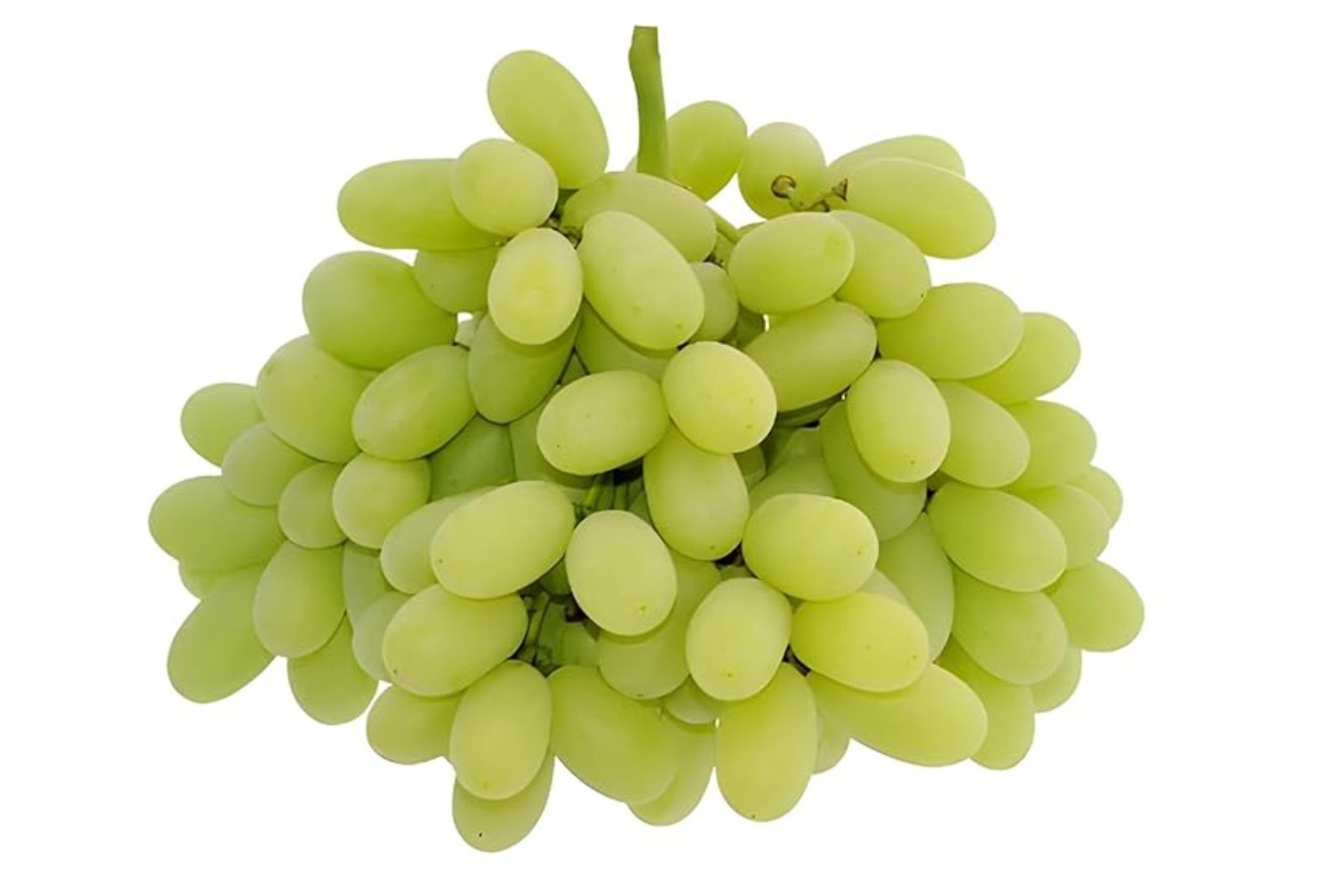 Sudhakar Seedless